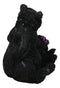 Rustic Forest Whimsical Cuddling Black Bear Couple with Flower Bouquet Figurine