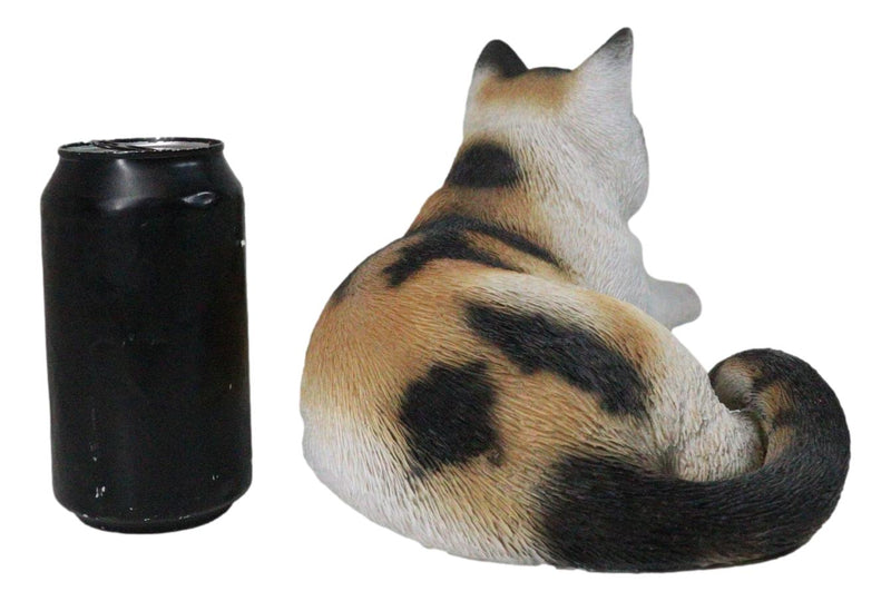 Realistic Adorable Feline Shorthair Calico Cat Kitten Lying Statue14.25"L