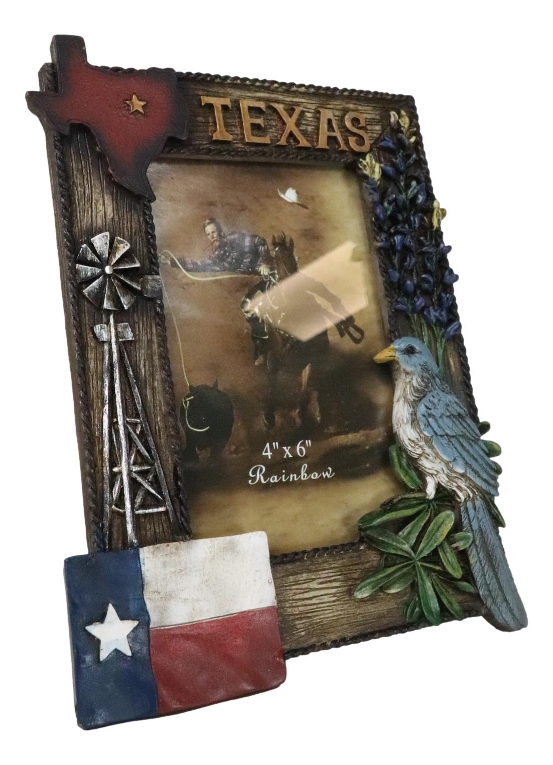 Rustic Western Patriotic Texas Mockingbird Windmill Bluebonnets Picture Frame - Ebros Gift