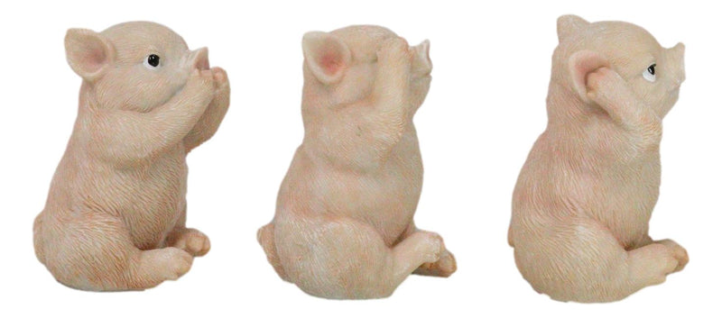 Rustic Country Hog Heavens See Hear Speak No Evil Piglet Pigs Figurines Set
