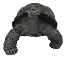 Realistic Marine Lifelike Galapagos Giant Tortoise Turtle Large Statue 18"L