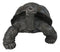 Realistic Marine Lifelike Galapagos Giant Tortoise Turtle Large Statue 18"L