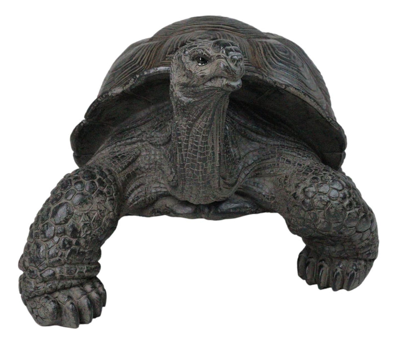 Realistic Marine Lifelike Galapagos Giant Tortoise Turtle Large Statue 18"L