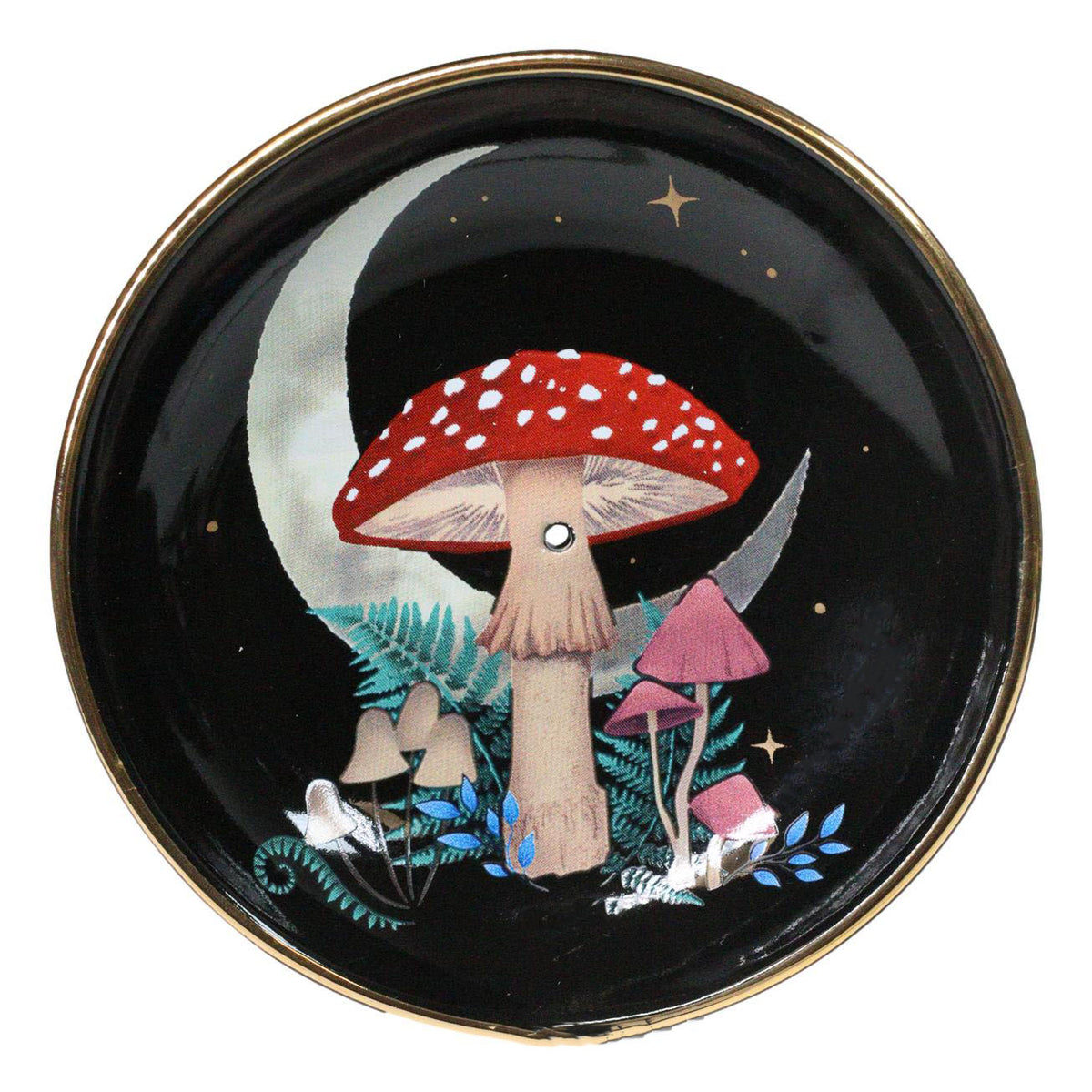Witchcraft Wicca Dark Forest Toadstool Mushrooms And Fungi Round Incense Holder