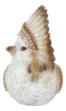 Western Tribal Indian Chief Bird With Headdress Money Coin Savings Piggy Bank