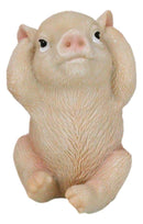 Rustic Country Hog Heavens See Hear Speak No Evil Piglet Pigs Figurines Set