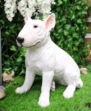 Ebros Gift 15.7" Tall Realist Bull Terrier Dog Home Decor Resin Figurine