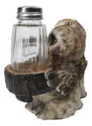 Owl Lovers Couple Salt and Pepper Shaker Holder with Glass Shakers Figurine