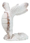 Nautical Marine Distressed Antique White Sea Turtle Wine Bottle Holder Figurine