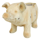Western Rustic Country Farm Porcine Pig Animal Decorative Vase Or Planter Pot