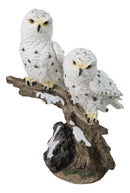 12-Inch Snowy Winter Spotted Owl Couple Figurine on Snow-Covered Tree Branch