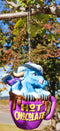 Ruth Thompson Blue Dragon in Hot Chocolate Cup Christmas Tree Hanging Ornament
