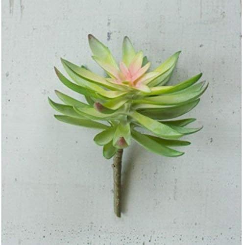 Pack Of 6 Realistic Artificial Flower Green Cactus Succulent Stem Botanicas