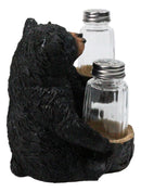 Rustic Forest Black Bear Couple Glass Salt and Pepper Shakers Holder Figurine