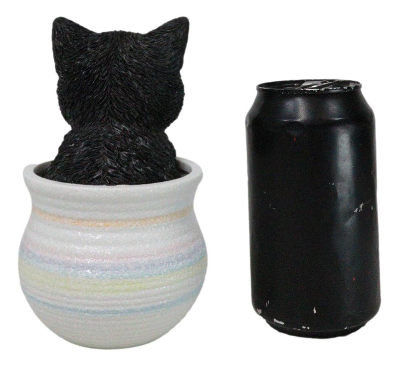 Lifelike Black And White Tuxedo Cat In Pastel Artsy Pot With Glass Eyes Figurine