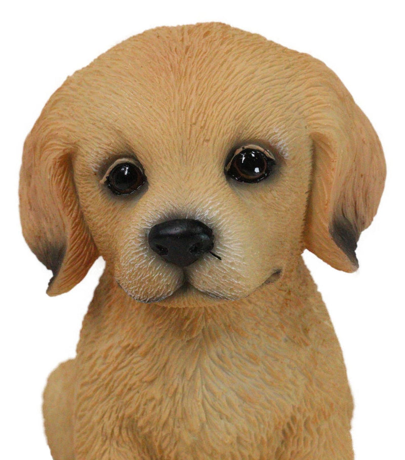 Realistic Sitting Adorable Labrador Puppy Figurine 5.75"H Pet Pal Collectible