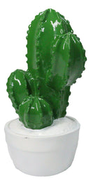 Southwest Desert Plains Whimsical Green Aloe Cactus Money Savings Piggy Bank