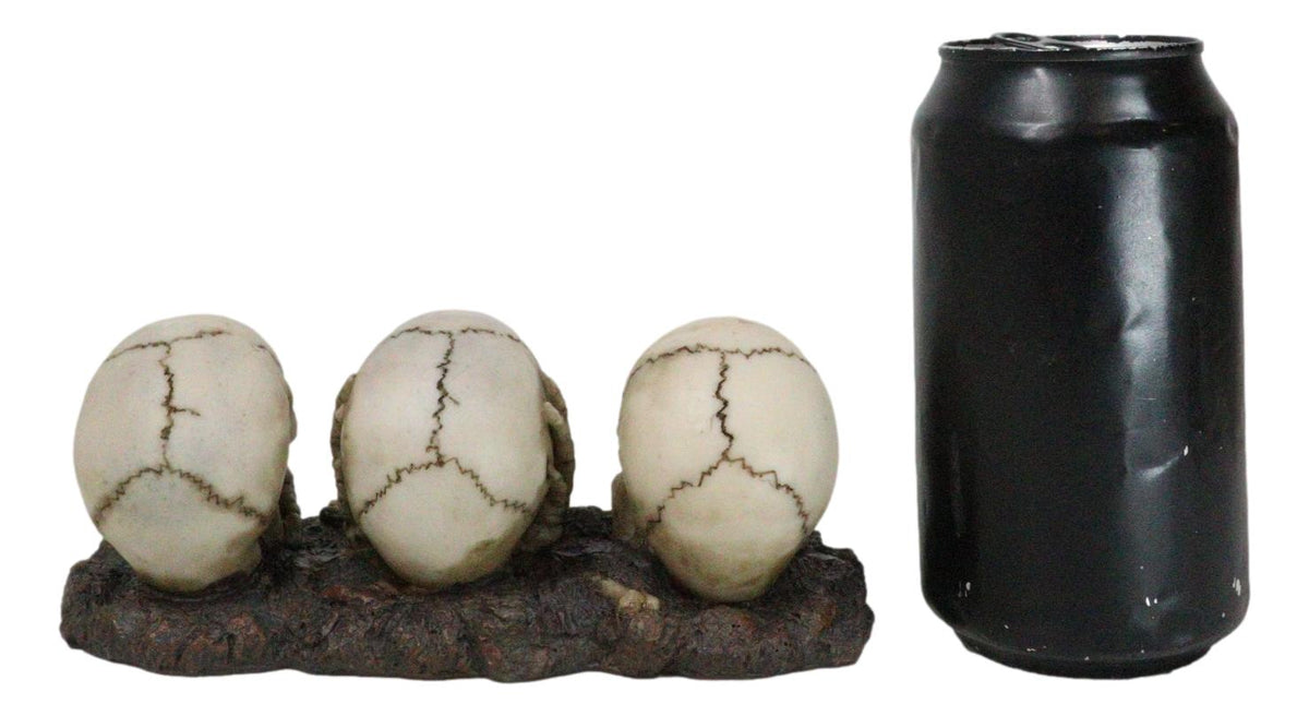 Ossuary Skeletons Gothic See Hear Speak No Evil Grinning Skulls Figurine 6.75"L