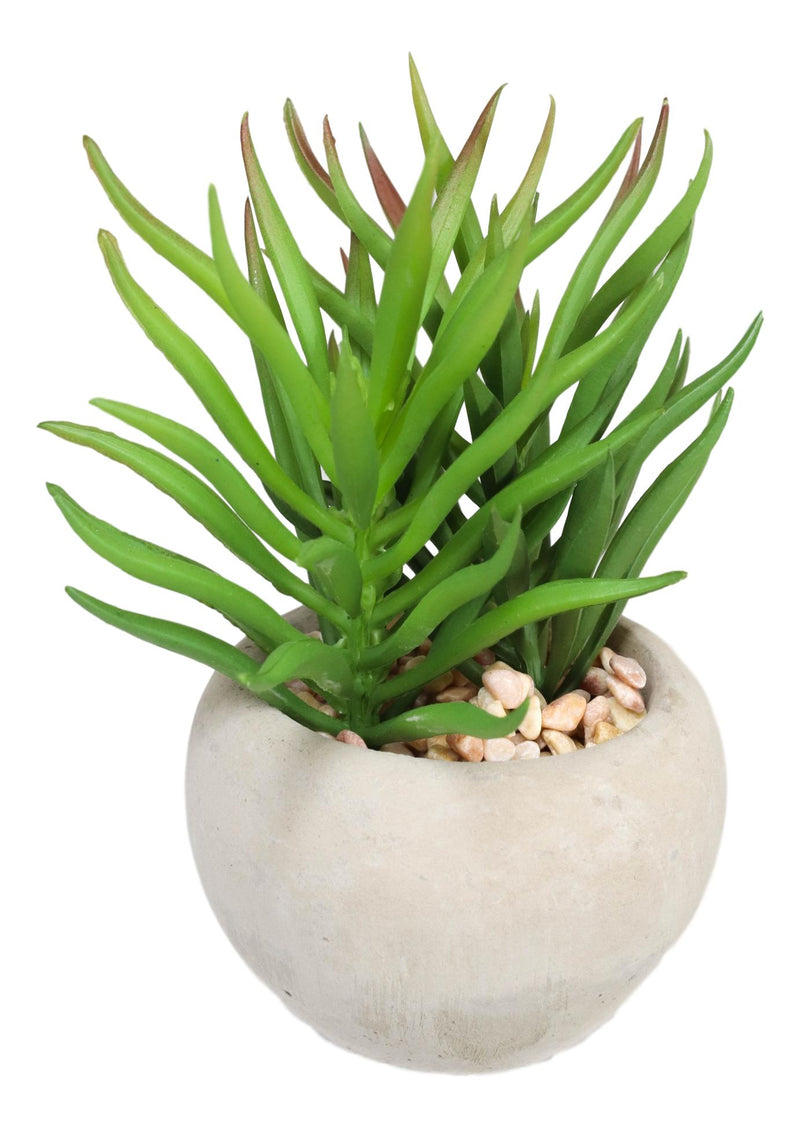 Set Of 8 Realistic Mini Artificial Botanica Green Succulents In Pots 2.25"H