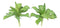 Pack Of 6 Realistic Lifelike Artificial Green Cactus Succulent Stem Botanicas