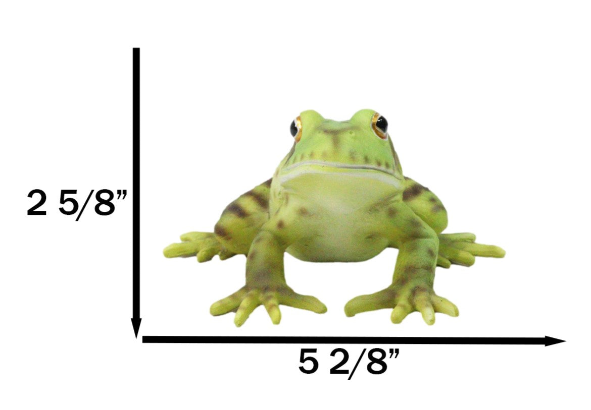 Amphibian Wild Creatures Realistic Green Frog Decorative Figurine