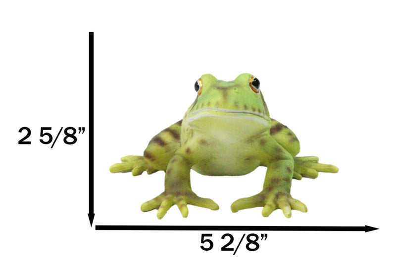 Amphibian Wild Creatures Realistic Green Frog Decorative Figurine