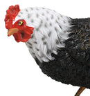 Rustic Western Country Iowa Blue Spotted White Breast Rooster Chicken Figurine