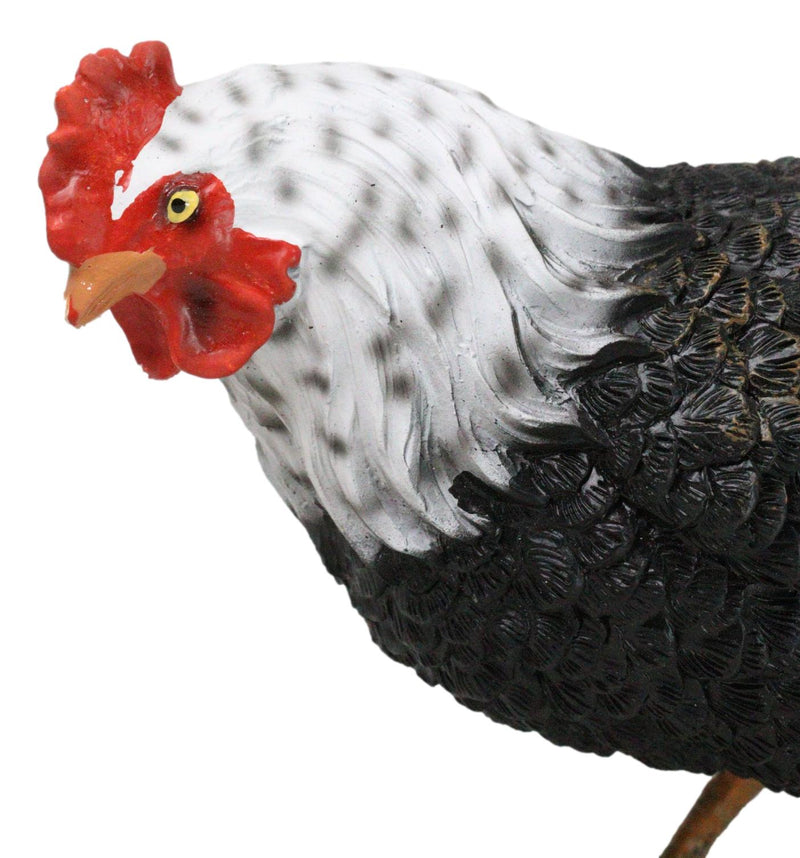 Rustic Western Country Iowa Blue Spotted White Breast Rooster Chicken Figurine