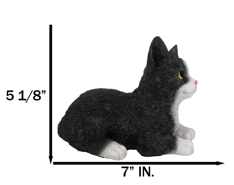 Lifelike Sitting Tuxedo Black and White Feline Kitten Cat Pet Pal Figurine