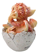 Adorable Orange Baby Dragon Hatchling Cracking Out of Egg Shell Figurine 4"H