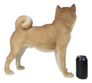 Realistic Adorable Canine Pet Pal Shiba Inu Dog Statue 18" Tall Home Decor