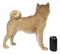 Realistic Adorable Canine Pet Pal Shiba Inu Dog Statue 18" Tall Home Decor