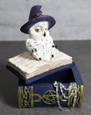 White Snow Owl With Witch Hat Resting On Triple Moon Blue Spell Book Trinket Box