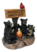 Cabin Companion Black Bear Family Camping Adventure Waits Here Sign Figurine
