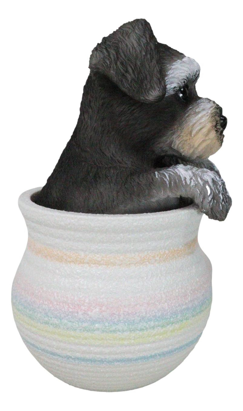 Adorable Grey Mini Schnauzer Puppy Dog Figurine With Glass Eyes Pup In Pot