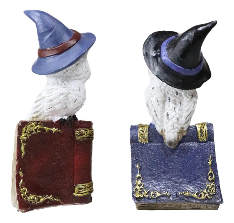 Pack Of 2 Witchcraft Spell Witch Snow Owls On Pentagram Spellbooks Figurine