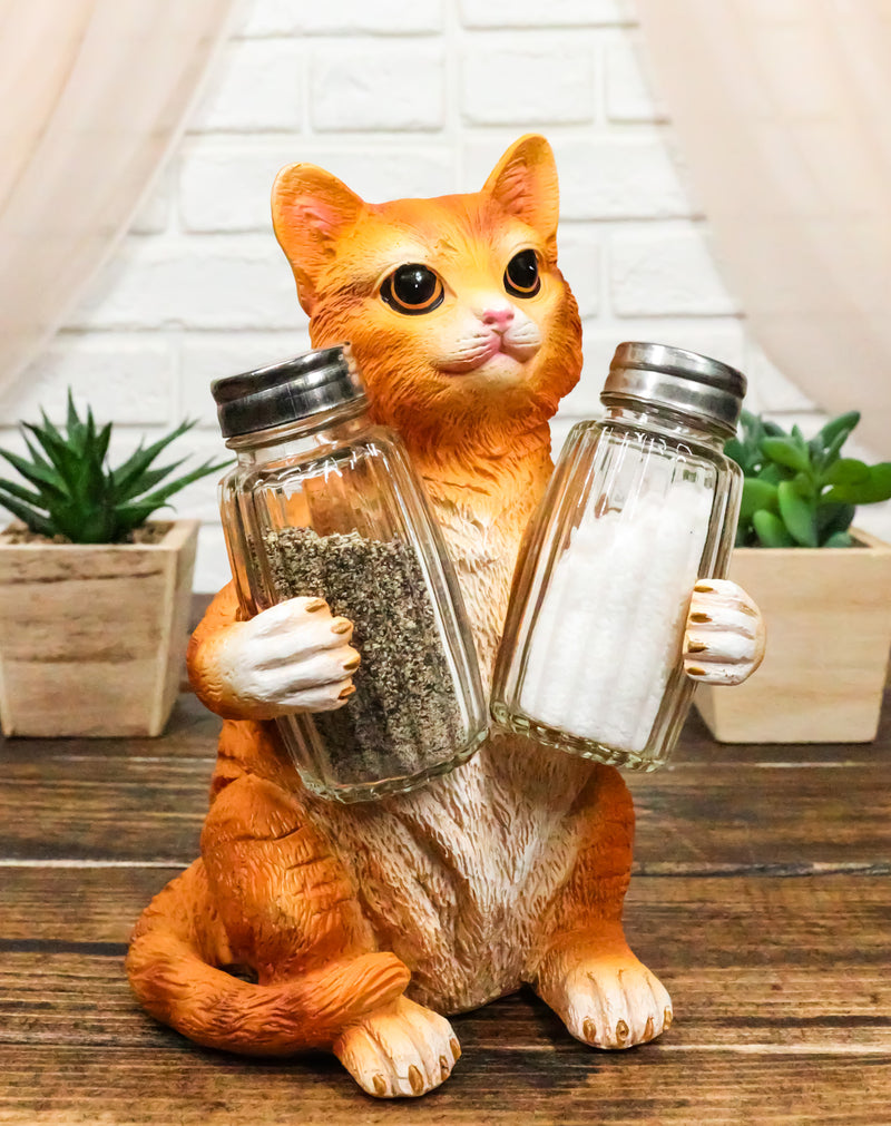 Ebros Orange Tabby Kitty Cat Hugging Spice Salt Pepper Shakers Holder 8.25"H