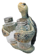 Marine Blue Shell Sea Turtle Hugging Glass Salt Pepper Shakers Holder Figurine