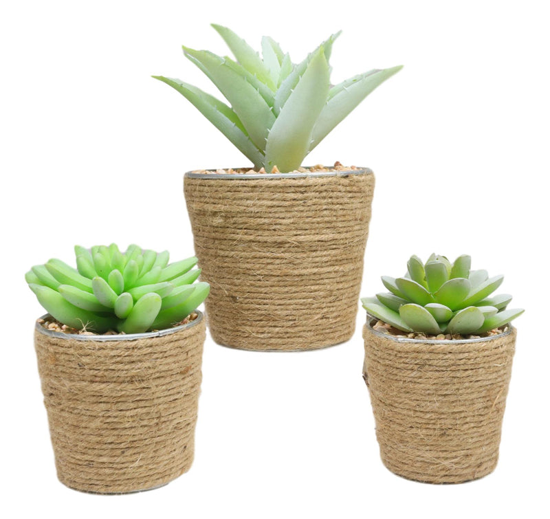 Set Of 3 Realistic Artificial Botanica Plant Succulents In Jute Wrapped Tin Pots