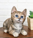Lifelike Adorable Sitting Gray Brown Tabby Feline Kitten Cat Pet Pal Figurine