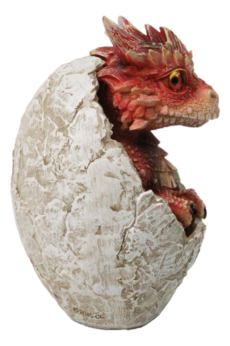 Ebros Red Ember Fire Dragon Baby Hatchling in Cracked Egg Fantasy Figurine