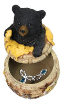 Western Forest Black Honey Pot Bear Life is Sweet Decorative Trinket Jewelry Box