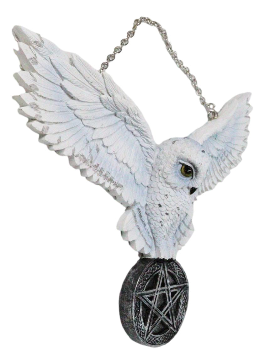 Snowy White Owl Pentagram Medallion Gothic Owl Wall Hanging Plaque 10"Long