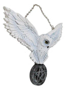 Snowy White Owl Pentagram Medallion Gothic Owl Wall Hanging Plaque 10"Long