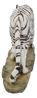 Prowling Fierce Leucistic Winter White Bengal Tiger Figurine 11.25" L
