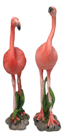 Tropical Paradise Bird Pink Flamingo Pair with Heart Shaped Neck Figurine Set