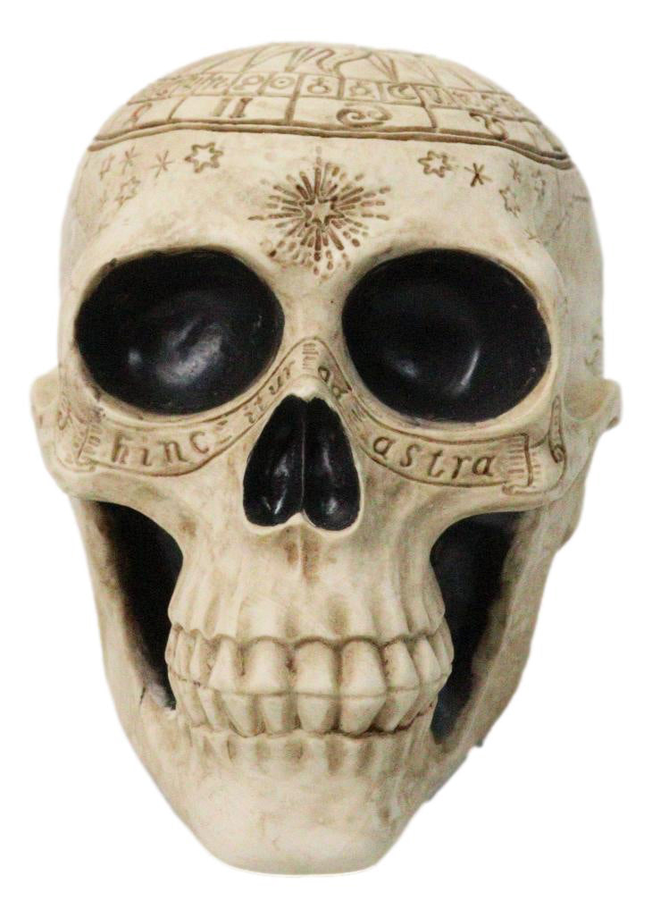 Ebros Gift Astrology Zodiac Skull Figurine Celestial Occult Gothic Decor