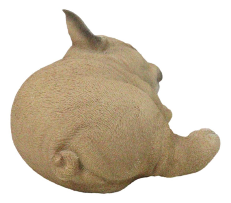 Realistic Adorable French Bulldog Dog Puppy Sleeping Figurine 6.75"Long