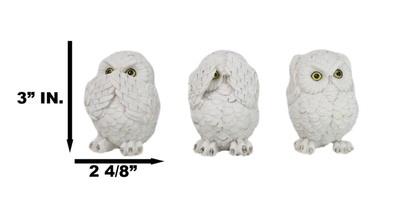 Wisdom Of The Forest See Hear Speak No Evil White Snowy Owls Mini Figurines Set