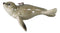 Set Of 6 Nautical Sea Grey Seals Ocean Marine Wall Decor Tree Ornaments